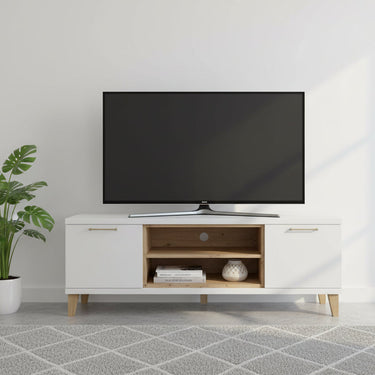 mueble para tv bolonia compacto con 2 puertas y cubo pequeño