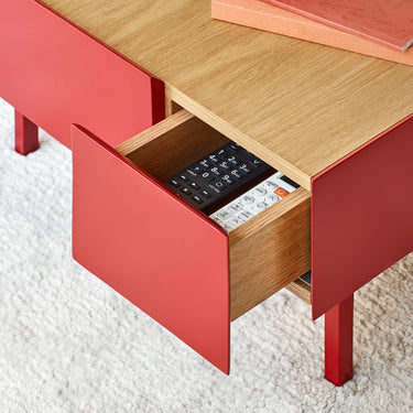 Mesa Centro ATSIRA Burdeos