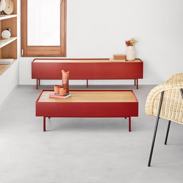 Mesa Centro ATSIRA Burdeos