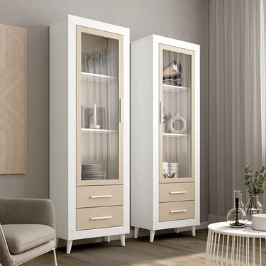 Vitrina 1 puerta y 2 Cajones ASTI